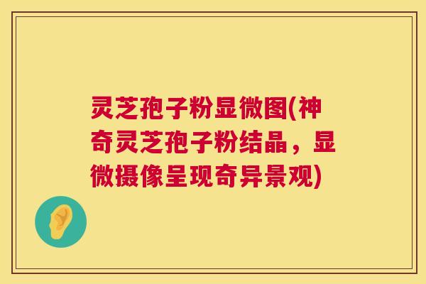 灵芝孢子粉显微图(神奇灵芝孢子粉结晶，显微摄像呈现奇异景观)