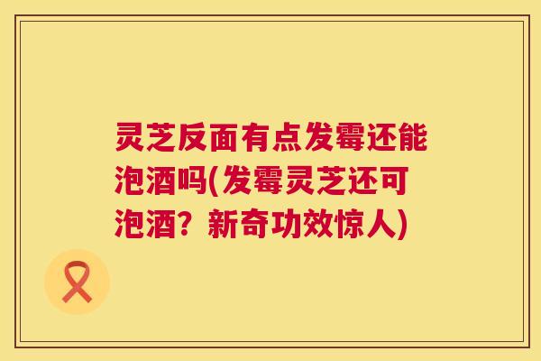 灵芝反面有点发霉还能泡酒吗(发霉灵芝还可泡酒？新奇功效惊人)