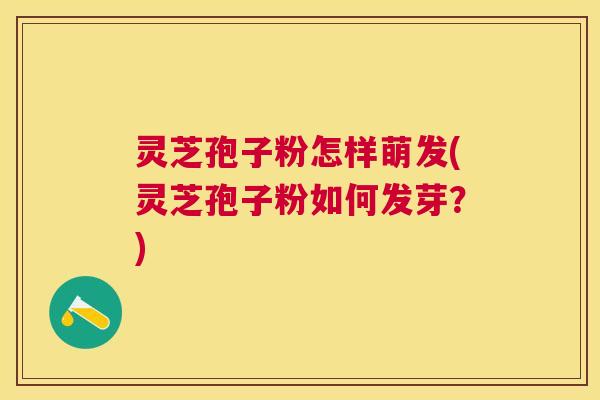 灵芝孢子粉怎样萌发(灵芝孢子粉如何发芽?) 灵芝孢子粉怎样萌发(灵芝孢子粉如何发芽?)
