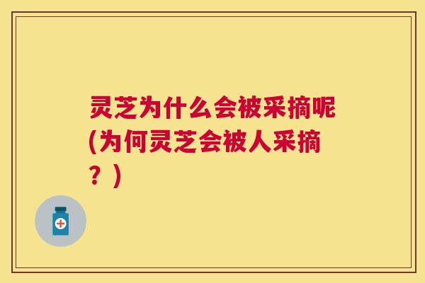 灵芝为什么会被采摘呢(为何灵芝会被人采摘？)