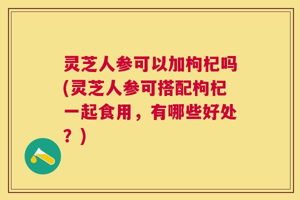 灵芝人参可以加枸杞吗(灵芝人参可搭配枸杞一起食用，有哪些好处？)
