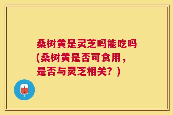桑树黄是灵芝吗能吃吗(桑树黄是否可食用,是否与灵芝相关?) 桑树黄是灵芝吗能吃吗(桑树黄是否可食用,是否与灵芝相关?)