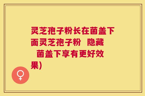 灵芝孢子粉长在菌盖下面灵芝孢子粉 隐藏 菌盖下享有更好效果) 灵芝孢子粉长在菌盖下面灵芝孢子粉 隐藏 菌盖下享有更好效果)