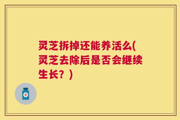 灵芝拆掉还能养活么(灵芝去除后是否会继续生长？)