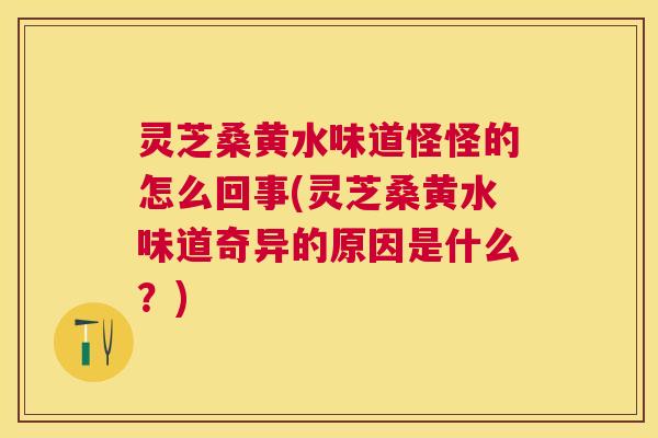 灵芝桑黄水味道怪怪的怎么回事(灵芝桑黄水味道奇异的原因是什么?) 灵芝桑黄水味道怪怪的怎么回事(灵芝桑黄水味道奇异的原因是什么?)