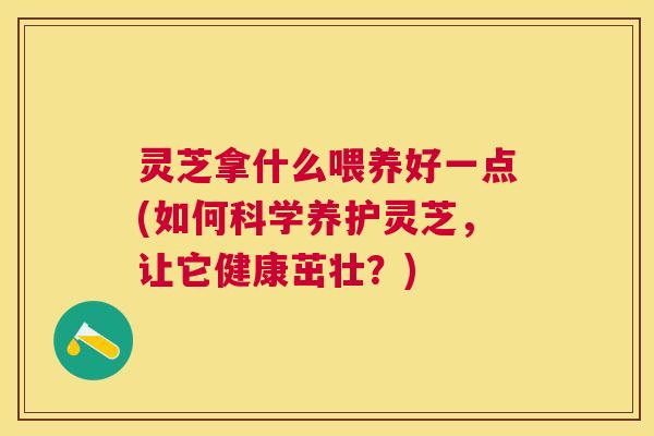 灵芝拿什么喂养好一点(如何科学养护灵芝,让它健康茁壮?) 灵芝拿什么喂养好一点(如何科学养护灵芝,让它健康茁壮?)