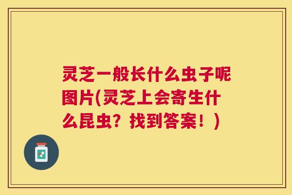 灵芝一般长什么虫子呢图片(灵芝上会寄生什么昆虫？找到答案！)