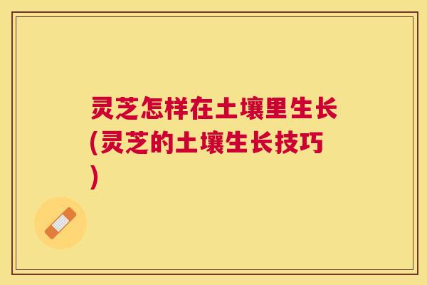 灵芝怎样在土壤里生长(灵芝的土壤生长技巧) 灵芝怎样在土壤里生长(灵芝的土壤生长技巧)