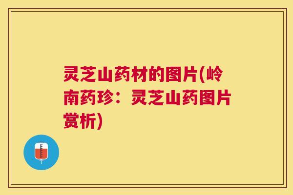 灵芝山药材的图片(岭南药珍：灵芝山药图片赏析)