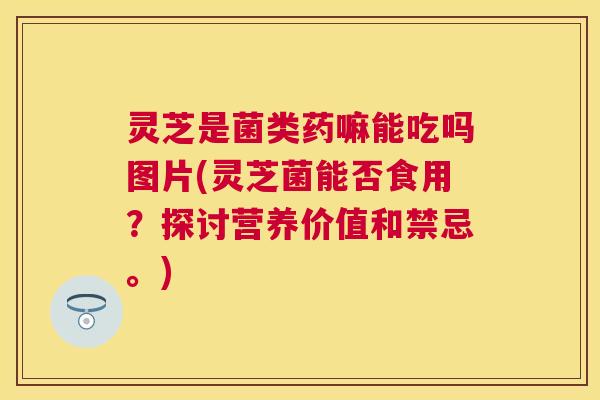 灵芝是菌类药嘛能吃吗图片(灵芝菌能否食用?探讨营养价值和禁忌。) 灵芝是菌类药嘛能吃吗图片(灵芝菌能否食用?探讨营养价值和禁忌。)