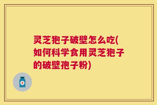 灵芝狍子破壁怎么吃(如何科学食用灵芝狍子的破壁孢子粉) 灵芝狍子破壁怎么吃(如何科学食用灵芝狍子的破壁孢子粉)