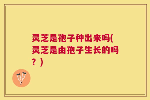灵芝是孢子种出来吗(灵芝是由孢子生长的吗?) 灵芝是孢子种出来吗(灵芝是由孢子生长的吗?)