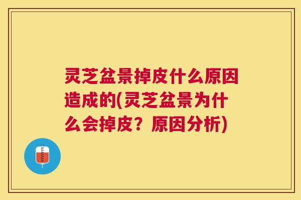灵芝盆景掉皮什么原因造成的(灵芝盆景为什么会掉皮?原因分析) 灵芝盆景掉皮什么原因造成的(灵芝盆景为什么会掉皮?原因分析)