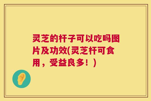 灵芝的杆子可以吃吗图片及功效(灵芝杆可食用,受益良多!) 灵芝的杆子可以吃吗图片及功效(灵芝杆可食用,受益良多!)
