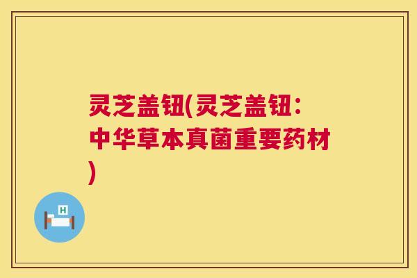 灵芝盖钮(灵芝盖钮:中华草本真菌重要药材) 灵芝盖钮(灵芝盖钮:中华草本真菌重要药材)
