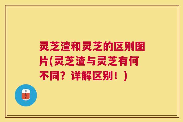 灵芝渣和灵芝的区别图片(灵芝渣与灵芝有何不同？详解区别！)