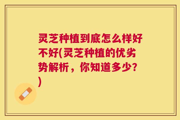 灵芝种植到底怎么样好不好(灵芝种植的优劣势解析,你知道多少?) 灵芝种植到底怎么样好不好(灵芝种植的优劣势解析,你知道多少?)
