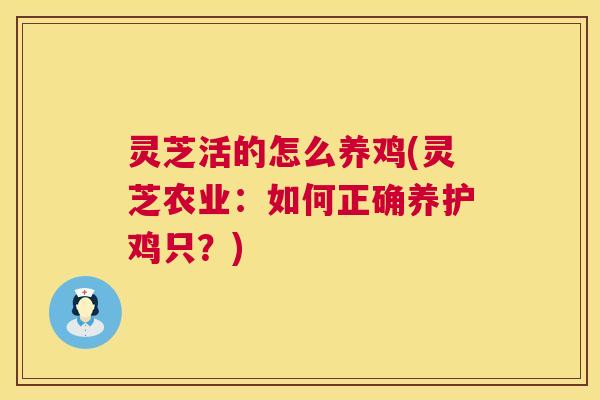 灵芝活的怎么养鸡(灵芝农业：如何正确养护鸡只？)