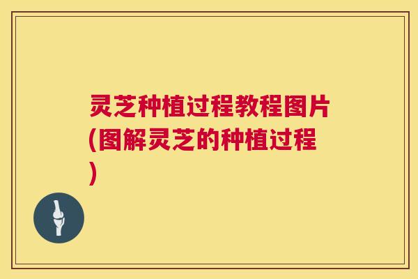 灵芝种植过程教程图片(图解灵芝的种植过程)