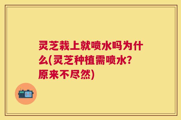 灵芝栽上就喷水吗为什么(灵芝种植需喷水?原来不尽然) 灵芝栽上就喷水吗为什么(灵芝种植需喷水?原来不尽然)