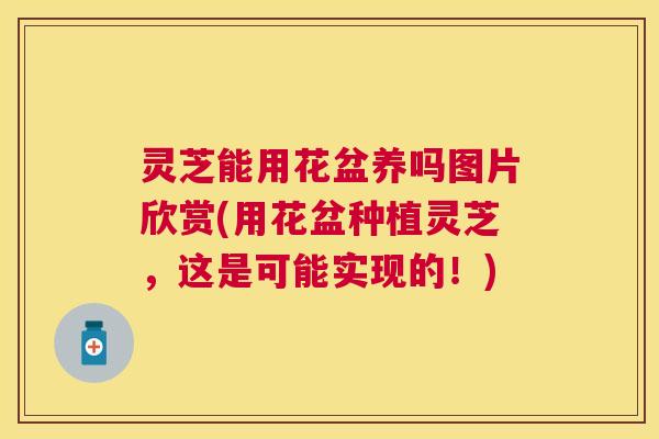 灵芝能用花盆养吗图片欣赏(用花盆种植灵芝，这是可能实现的！)