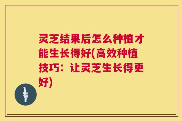 灵芝结果后怎么种植才能生长得好(高效种植技巧：让灵芝生长得更好)