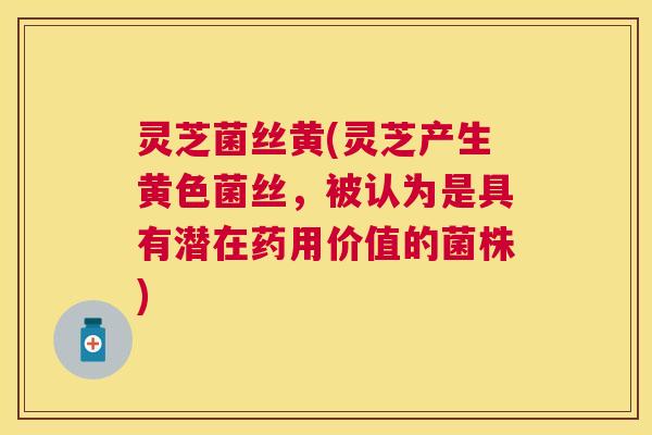 灵芝菌丝黄(灵芝产生黄色菌丝,被认为是具有潜在药用价值的菌株) 灵芝菌丝黄(灵芝产生黄色菌丝,被认为是具有潜在药用价值的菌株)