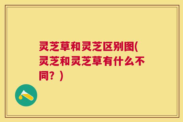 灵芝草和灵芝区别图(灵芝和灵芝草有什么不同？)