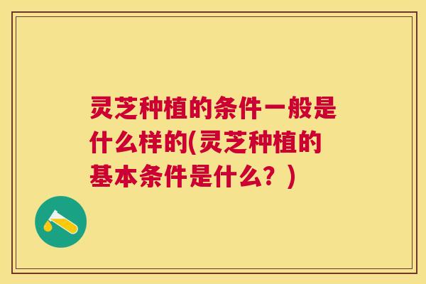 灵芝种植的条件一般是什么样的(灵芝种植的基本条件是什么?) 灵芝种植的条件一般是什么样的(灵芝种植的基本条件是什么?)
