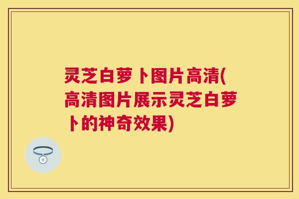 灵芝白萝卜图片高清(高清图片展示灵芝白萝卜的神奇效果) 灵芝白萝卜图片高清(高清图片展示灵芝白萝卜的神奇效果)