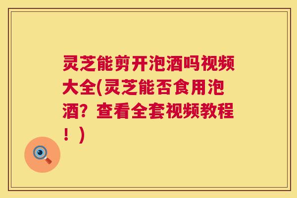 灵芝能剪开泡酒吗视频大全(灵芝能否食用泡酒?查看全套视频教程!) 灵芝能剪开泡酒吗视频大全(灵芝能否食用泡酒?查看全套视频教程!)