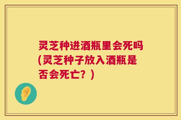 灵芝种进酒瓶里会死吗(灵芝种子放入酒瓶是否会死亡？)