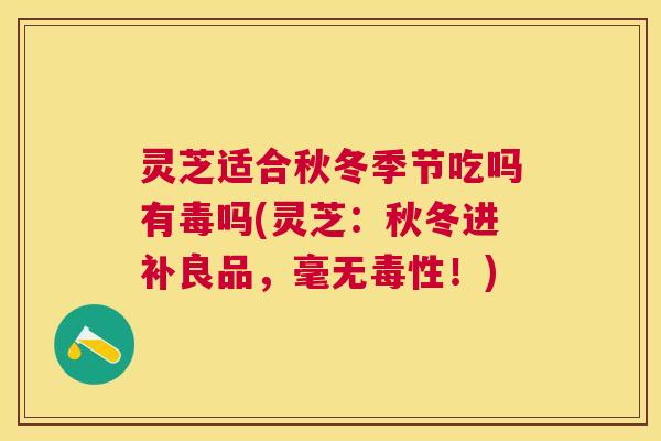 灵芝适合秋冬季节吃吗有毒吗(灵芝:秋冬进补良品,毫无毒性!) 灵芝适合秋冬季节吃吗有毒吗(灵芝:秋冬进补良品,毫无毒性!)