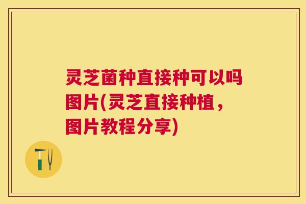 灵芝菌种直接种可以吗图片(灵芝直接种植，图片教程分享)