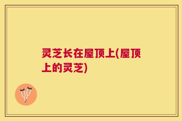 灵芝长在屋顶上(屋顶上的灵芝) 灵芝长在屋顶上(屋顶上的灵芝)