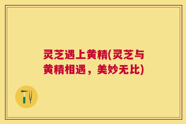 灵芝遇上黄精(灵芝与黄精相遇,美妙无比) 灵芝遇上黄精(灵芝与黄精相遇,美妙无比)