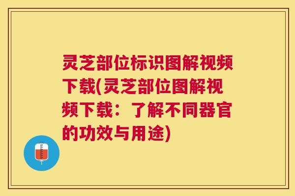 灵芝部位标识图解视频下载(灵芝部位图解视频下载:了解不同器官的功效与用途) 灵芝部位标识图解视频下载(灵芝部位图解视频下载:了解不同器官的功效与用途)