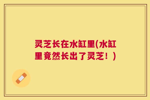 灵芝长在水缸里(水缸里竟然长出了灵芝！)
