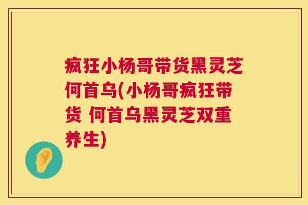 疯狂小杨哥带货黑灵芝何首乌(小杨哥疯狂带货 何首乌黑灵芝双重养生) 疯狂小杨哥带货黑灵芝何首乌(小杨哥疯狂带货 何首乌黑灵芝双重养生)