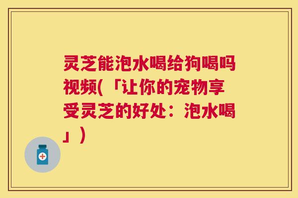 灵芝能泡水喝给狗喝吗视频(「让你的宠物享受灵芝的好处:泡水喝」) 灵芝能泡水喝给狗喝吗视频(「让你的宠物享受灵芝的好处:泡水喝」)