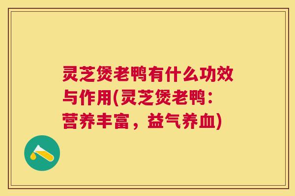 灵芝煲老鸭有什么功效与作用(灵芝煲老鸭:营养丰富,益气) 灵芝煲老鸭有什么功效与作用(灵芝煲老鸭:营养丰富,益气)