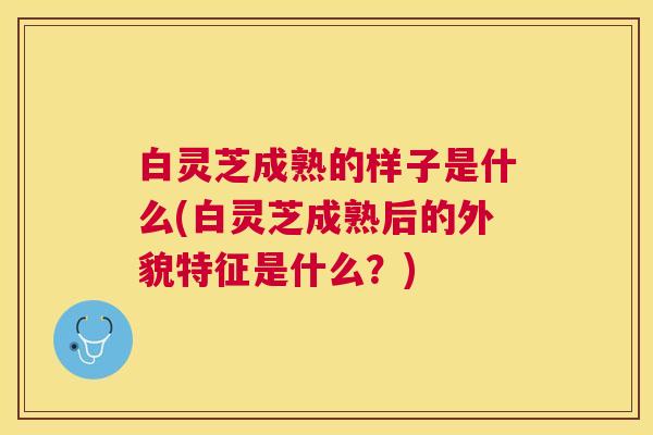 白灵芝成熟的样子是什么(白灵芝成熟后的外貌特征是什么?) 白灵芝成熟的样子是什么(白灵芝成熟后的外貌特征是什么?)