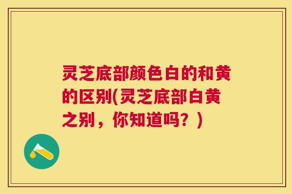 灵芝底部颜色白的和黄的区别(灵芝底部白黄之别,你知道吗?) 灵芝底部颜色白的和黄的区别(灵芝底部白黄之别,你知道吗?)