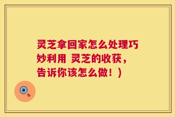 灵芝拿回家怎么处理巧妙利用 灵芝的收获，告诉你该怎么做！)