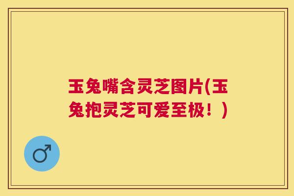 玉兔嘴含灵芝图片(玉兔抱灵芝可爱至极！)