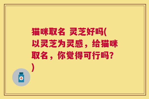 猫咪取名 灵芝好吗(以灵芝为灵感，给猫咪取名，你觉得可行吗？)