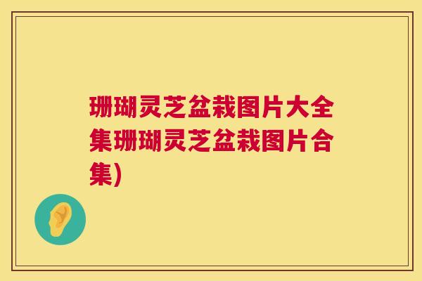 珊瑚灵芝盆栽图片大全集珊瑚灵芝盆栽图片合集) 珊瑚灵芝盆栽图片大全集珊瑚灵芝盆栽图片合集)