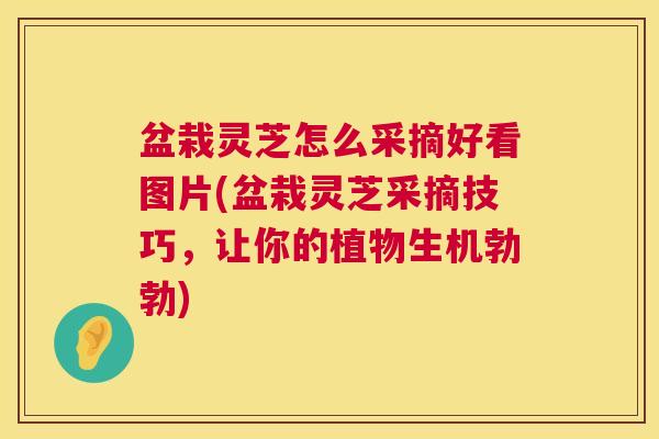盆栽灵芝怎么采摘好看图片(盆栽灵芝采摘技巧，让你的植物生机勃勃)