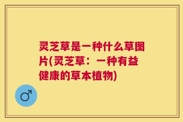 灵芝草是一种什么草图片(灵芝草：一种有益健康的草本植物)