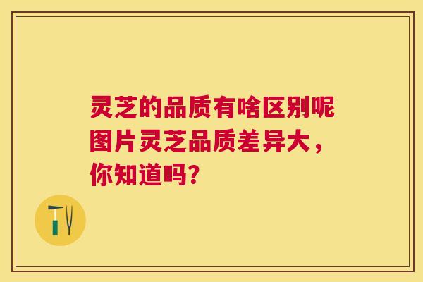 灵芝的品质有啥区别呢图片灵芝品质差异大，你知道吗？